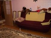 Сдам в аренду на месяц квартиру в Украине