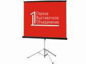 Посуточная аренда  Экран для проектора в Челябинске