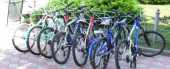 Почасовая аренда Велосипеды в Чите